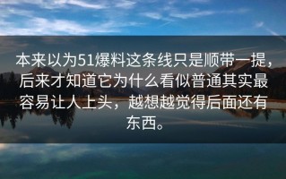 本来以为51爆料这条线只是顺带一提，后来才知道它为什么看似普通其实最容易让人上头，越想越觉得后面还有东西。