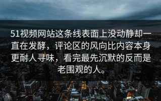 51视频网站这条线表面上没动静却一直在发酵，评论区的风向比内容本身更耐人寻味，看完最先沉默的反而是老围观的人。