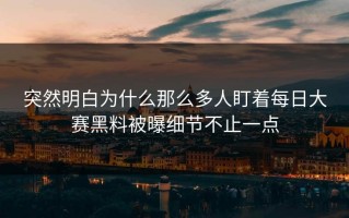 突然明白为什么那么多人盯着每日大赛黑料被曝细节不止一点