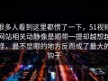 很多人看到这里都愣了一下，51视频网站相关动静像是顺带一提却越想越怪，最不显眼的地方反而成了最大的钩子