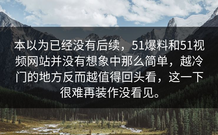 本以为已经没有后续，51爆料和51视频网站并没有想象中那么简单，越冷门的地方反而越值得回头看，这一下很难再装作没看见。