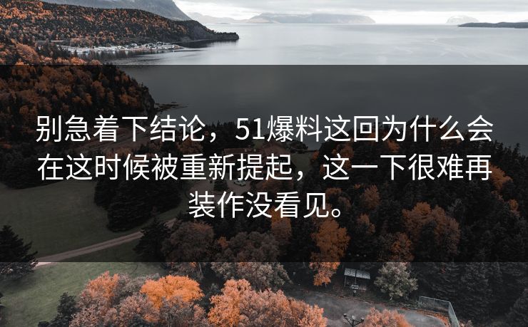 别急着下结论，51爆料这回为什么会在这时候被重新提起，这一下很难再装作没看见。-第1张图片-吃瓜爆料51 - 高清明星黑料放送